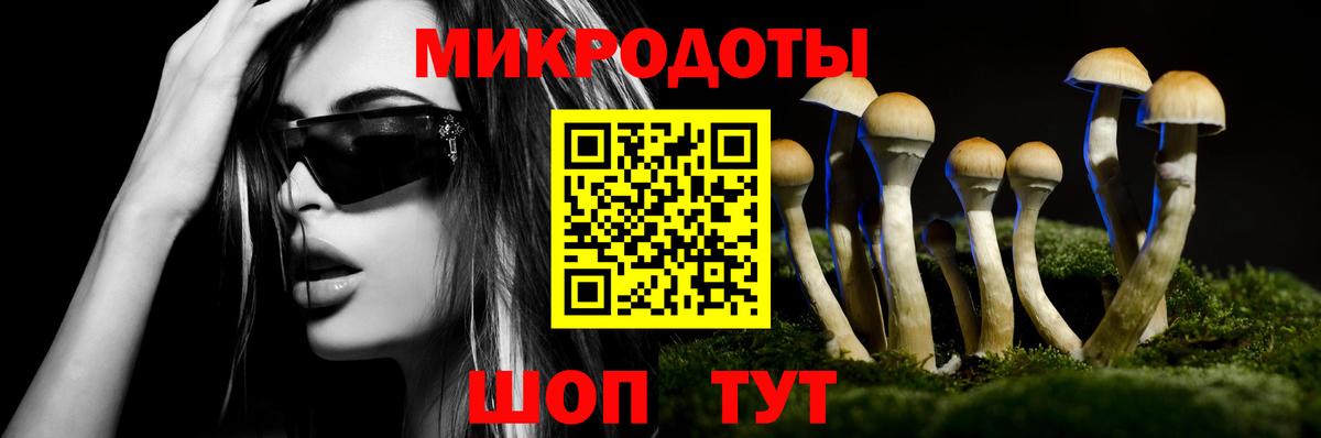 Зеленогорск  Псилоцибиновые грибы ЛСД  Вход с VPN 